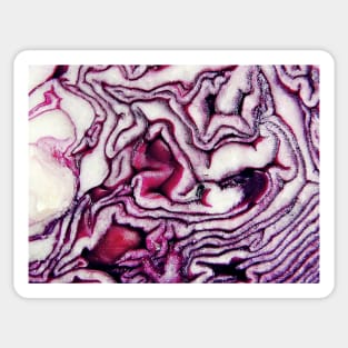 Cabbage Windings Sticker